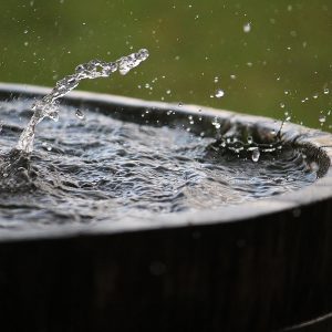 Benefits Of Rainwater Collection—Is It Legal In Your State?