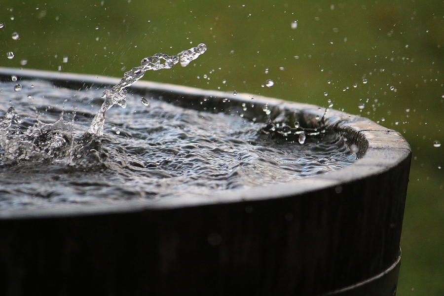 Benefits Of Rainwater Collection in Maui — Is It Legal In Your State?