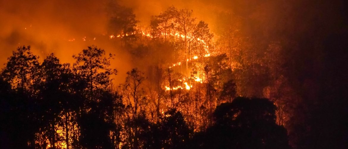 bigstock-Wildfire-Disaster-In-Tropical--453794817-1920